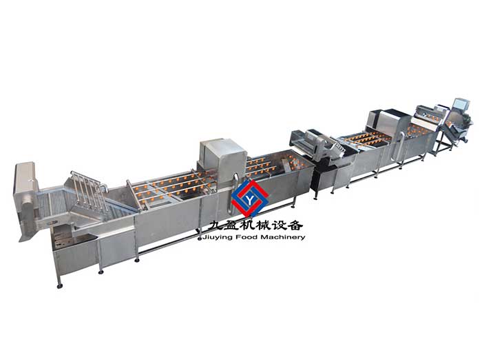 梅菜清洗流水線(xiàn)